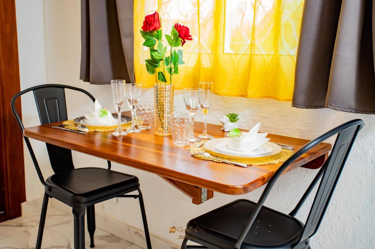 Le Jardin Secret Guyanais Avec Piscine Et Jardin De 70 M2 Apartment Cayenne Ngoại thất bức ảnh